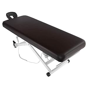 SKINACT Stella Electric Medical Spa Treatment Table (Facial Chair/Bed) ADA Compliant (Brown)