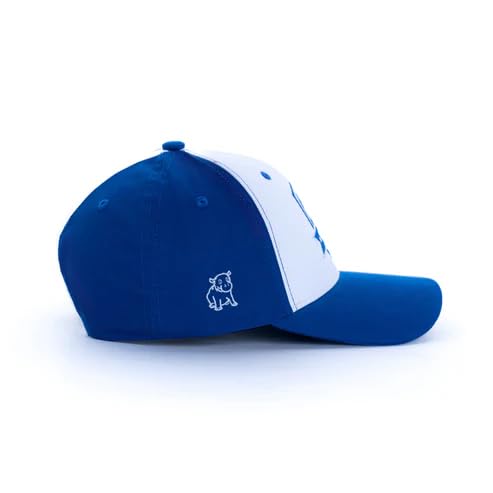 Image of Football Sports Unisex Baseball Cap White, Blue
