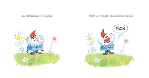 Monsieur le gnome [French] 2226442235 Book Cover