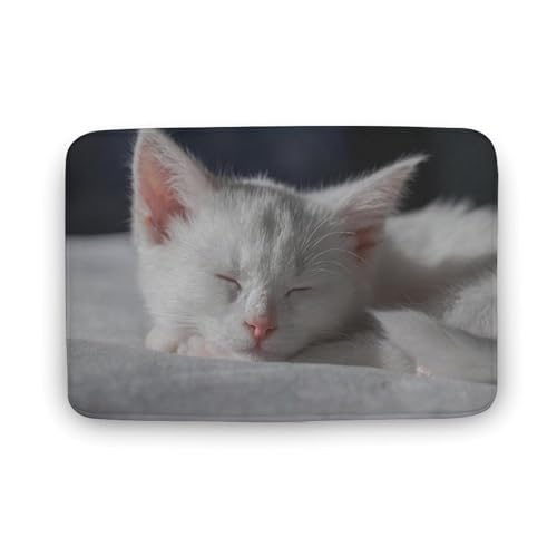 L   oX}bg z/唻 փ}bg  O    ~ Aj LN^[ @}bg   ʏ