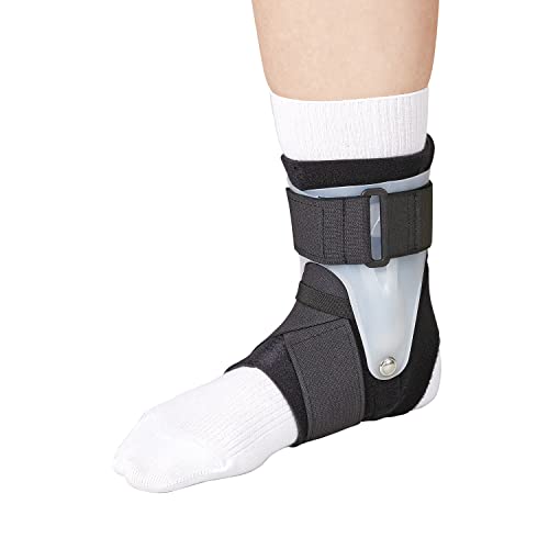 ���{�V�O�}�b�N�X �G�N�X�G�C�h�A���N��6 �EL 452603