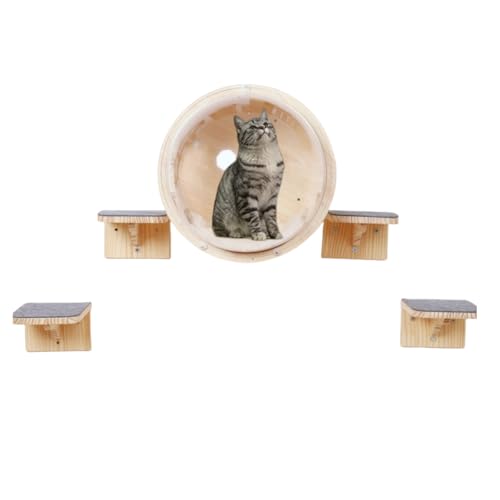 Ǌ|LxbhƋEhXy[XJvZANALƂ܂؂̃XebvؐILDƃMtgLc[^[TChXgCvX^C-1