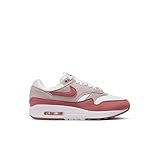 Nike Air Max 1 Women's Shoes (DZ2628-104, Summit White/Light Iron ORE/Smokey Mauve) Size 8