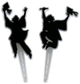 Graduation Party Cupcake Picks - 24 pc
