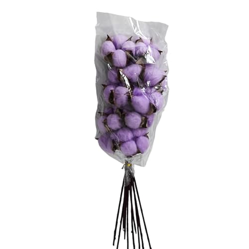 Pack de 10 Tallos de Flor de Algodón Natural Seco miniatura 1
