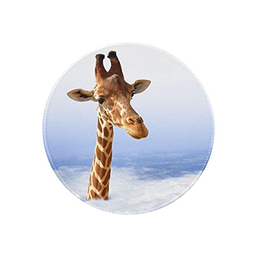 }EXpbh ی^ _ L  u[  h ~ S Q[~O}EXpbh m[gp\R PC Eh}EXpbh fXN}bg ϋvǂ ItBXp rWlXp ƒp Q[p ~` 20cm