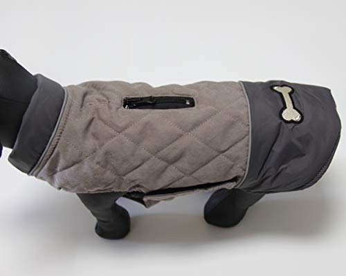 JoyDaog Wendehundemäntel für kleine Hunde wasserdichte, warme Baumwoll-Hundejacke für den kalten Winter, Grau M