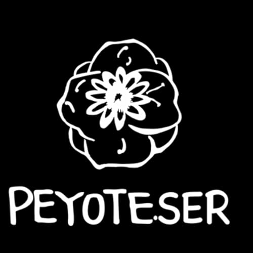 Ep. 1 &iquest;Qu&eacute; es Peyoteser? 🌎🚐 | Reflexiones en Cada Kil&oacute;metro.