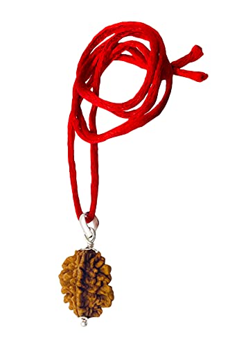Image of Siddha 2 /Two Mukhi Rudraksha, Laboratory Certified, Capped with Silver Between Indian Beads with Handmade Tassel, Size 22mm-28mm, Color-Brown (2 Mukhi Silver Rudraksha)