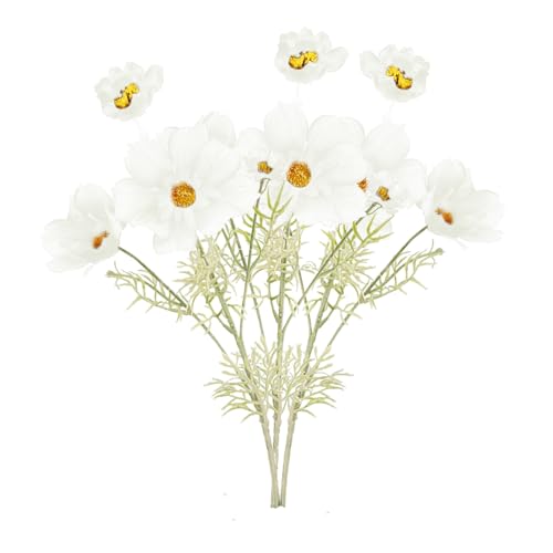 GerRiT lHRXXt[A3_AtFCNt[OXeAWgA킢Ă̑ԁAVNt[Az[Lb`AEFfBOfR[Ve[uZ^[s[X zCg