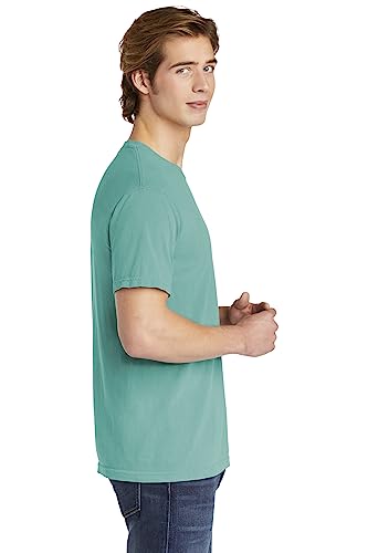 Image of Comfort Colors Adult Short Sleeve Tee, Style G1717