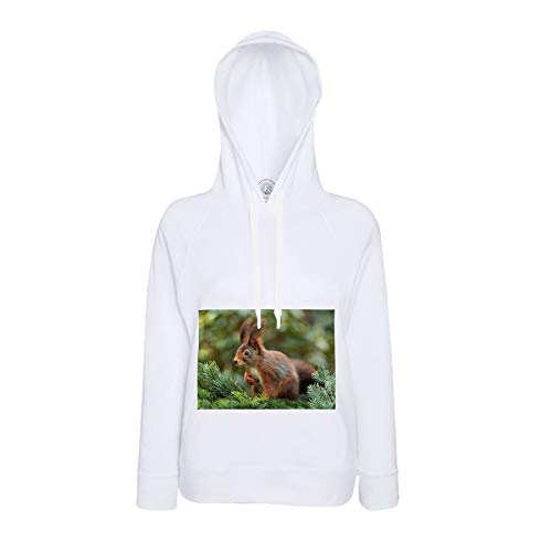 Sweat à capuche écureuil sauvage en coton pour un style décontracté au quotidien