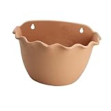 ibasenice 1 Pièce Vasque Murale Semi-Circulaire Suspendue Pot De Fleurs Suspendu Jardini�...