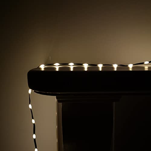 Premier 1000 LED 35m Flexibrights Indoor Outdoor Multi Function Christmas Lights with Timer in Warm White