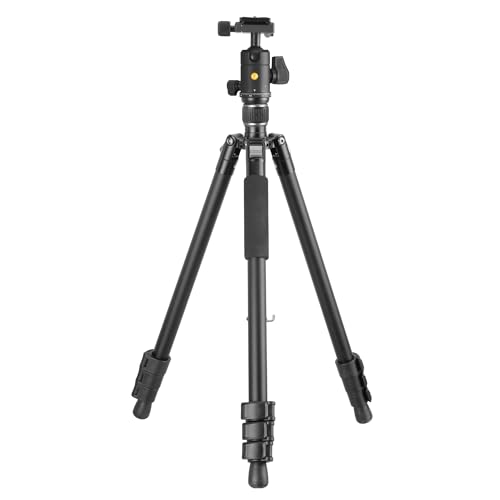 Image of Vanguard Vesta GO 264AB Aluminum Travel Tripod with VEO BH-60 Ball Head
