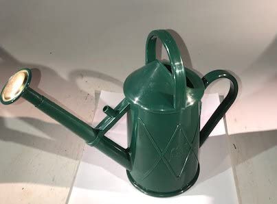 Bonsai Boy e3484 1 Liter Watering Can Green