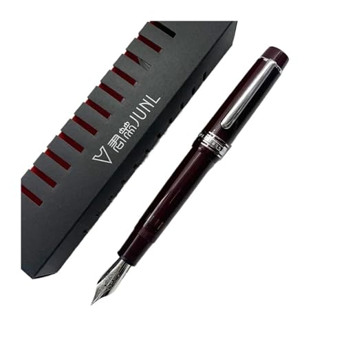 Stylo plume à piston élégant en résine, le cadeau d'affaires idéal avec plume M