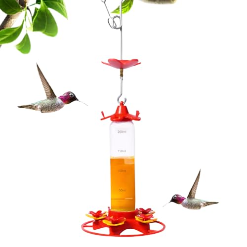 hummingbird feeders