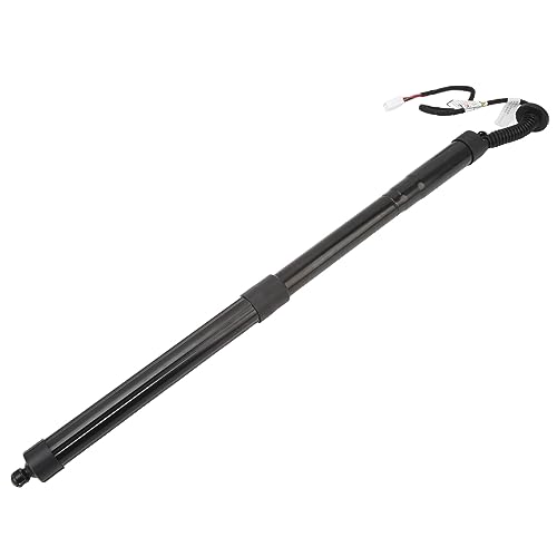 Support de lifting du tronc de hayon puissant robuste NX 200t - 3