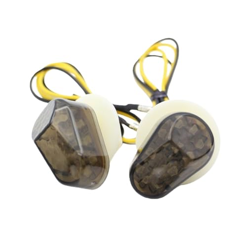 Clignotants avant de moto LED pour remplacer les pièces YZF FZ1