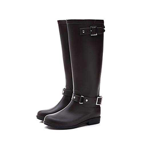 Cu[c 24.0cm O V[Y B[X CV[Y  JWA h ϊ ~J ʋ ʊw r ₷ 킢  AEghA Ɨp Jp n ʋ Ԍ uE 䕗 Xb| CV[Y JC J