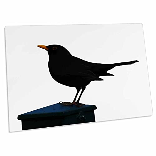 3dRose Taiche Vector Blackbird Desk Pad 23x16 pulg