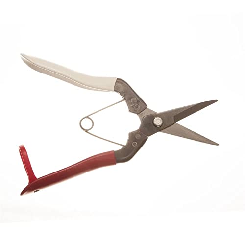 Image of Okatsune Bud Cutting Shears in Box No. 304