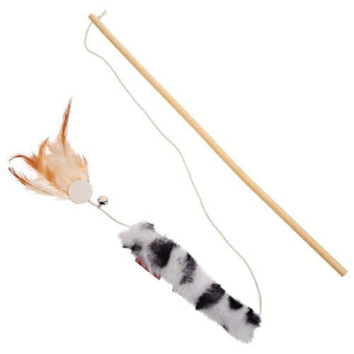 Operitacx C^NeBuL炵HїtL_ ؐXeBbN qLpVѓ ybgpi ͓IȃfUCōDSh