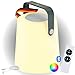 Produktbild SCHWAIGER Bluetooth Lautsprecher mit Licht Tischlampe Garten Lampe Outdoor Aussenbereich Speaker tragbar 10W mit 2000 mAh Akku Fernbedienung Ladekabel IP44 RGB LED