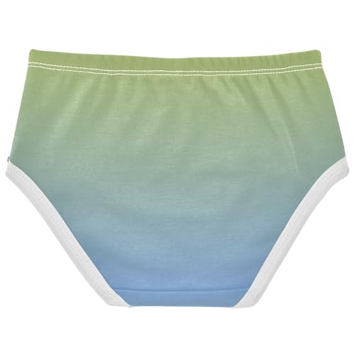 Joisal Ombre Green Blue Gradient Toddler Underwear Floral 2t Cotton Cute Panties Girl Durable Briefs Kids Undies2