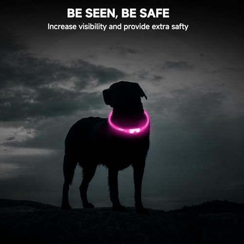 CoCoDonut LED Leuchthalsband Hund, USB aufladbar, Sicherheit bei Nacht – Ansicht 6