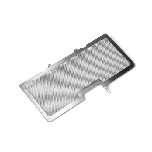 Protecteur de calandre de radiateur Moto pour BMW R1200R R1250R R1200RS R1250RS 2015-2020