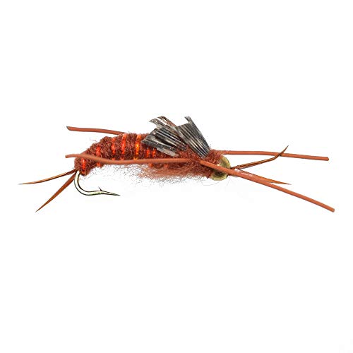 Amazon.com: The Fly Fishing Place: Stonefly Nymphs
