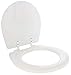 Jabsco 29097-1000 Replacement Toilet Seat and Lid, Compact Size Small