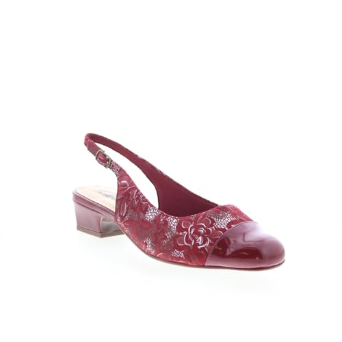 Image of Trotters