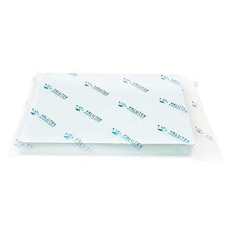 20A00C998PK, Cleanroom Paper, Letter-Size, Blue, Pack of 250