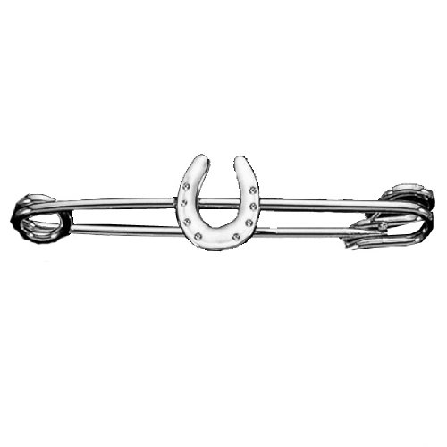Best Horseshoe Pins