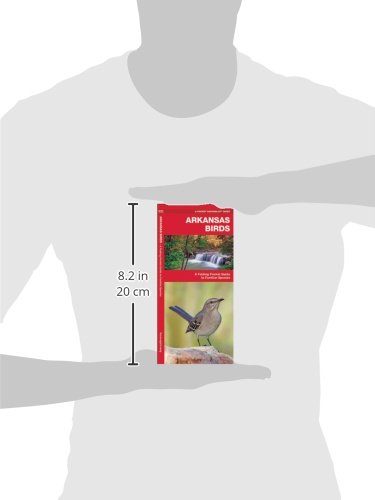 Waterford Press WFP1583551844 Arkansas Birds: A Folding Pocket Guide To Familiar Species thumb #3