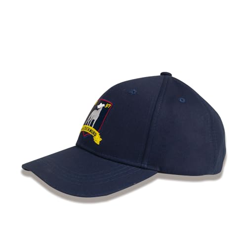 Football Track Sports Hat Soccer Training Coach Cap Blue