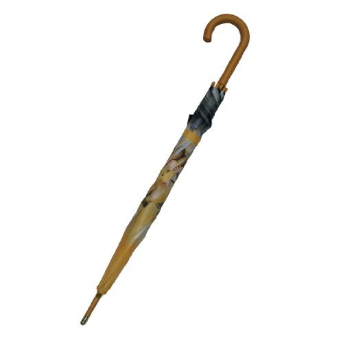 Pealra Anglels In The Clouds Umbrella #TOP2