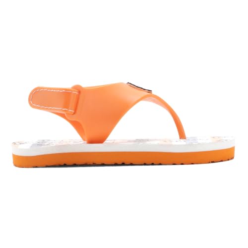 Image of Duosoft Kids Flip Flop Sandals with Bear Motif, Slippers for Baby Girl and Baby Boy, Indoor and Outdoor Slipper for Kids with Strap (K-401)