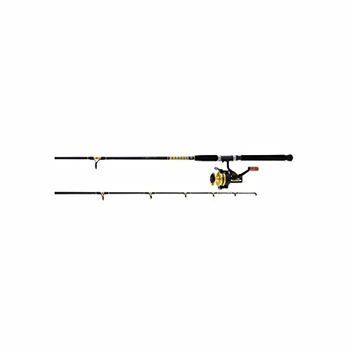 daiwa bg surf combo