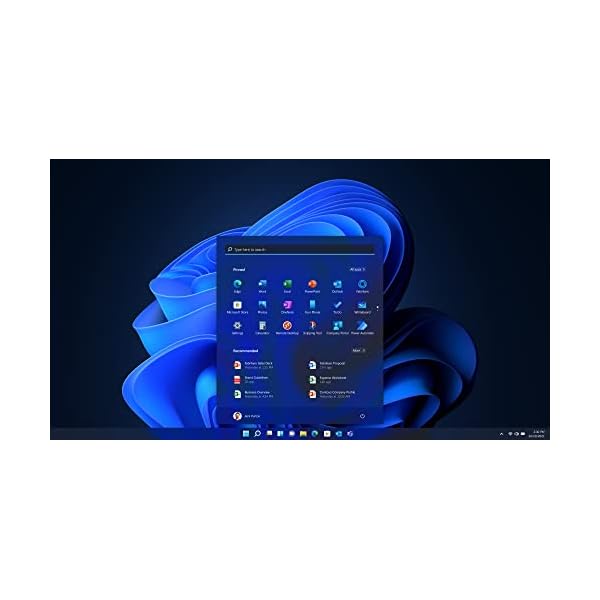 Microsoft-Windows-11-Pro-USB Microsoft-Windows-11-Pro-USB