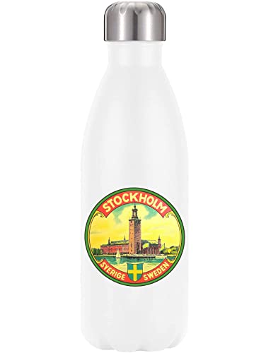Botella de acero inoxidable premium estilo Estocolmo termo libre de BPA 2