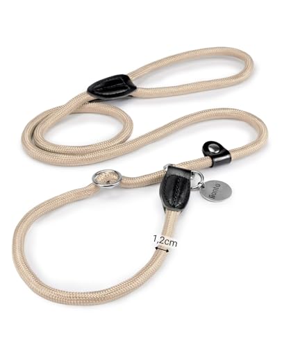 lionto Retrieverleine robust und wetterfest für Hunde Aller Größen, schnell anzulegende Hundeleine und Halsband in Einem, 170 cm, fellschonende Führleine mit integriertem Zugstopp, vegan, beige