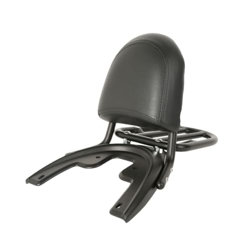 Soutien dossier passager moto avec porte-bagages et plaque pour VRSC 2002-2006