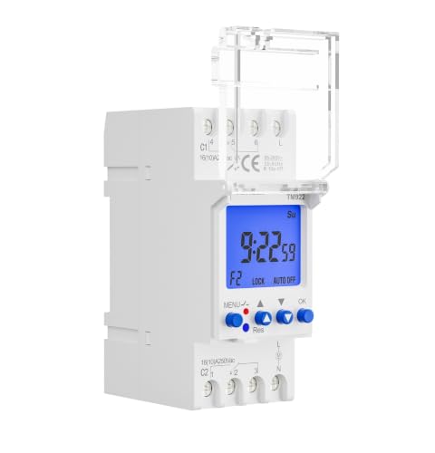 Interruptor temporizador programable de dos relés independientes 85-265V 2