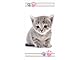 APTEX Duschtuch Badetuch Handtuch Strandtuch mit Katze 70 x 140cm, Mehrfarbig