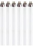 Fluorescent Light Bulbs Warm