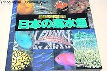 山渓カラー名鑑【 日本の淡水魚•日本の海水魚•日本の野鳥 】 山渓カラー名鑑【 日本の淡水魚•日本の海水魚•日本の野鳥 】